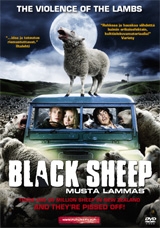 Black Sheep