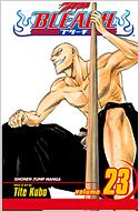 Bleach: 24