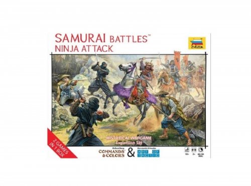Samurai Battles: Ninja Attack