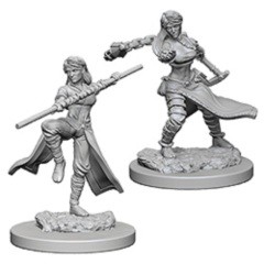 D&D Nolzur's Marvelous Unpainted Minis: Human Female Monk