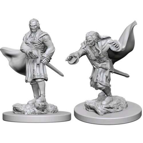 D&D Nolzur's Marvelous Unpainted Minis: Vampires