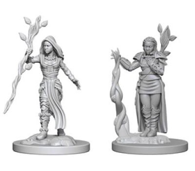 D&D Nolzur's Marvelous Unpainted Minis: Human Female Druid