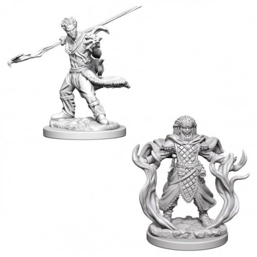 D&D Nolzur's Marvelous Unpainted Minis: Human Male Druid