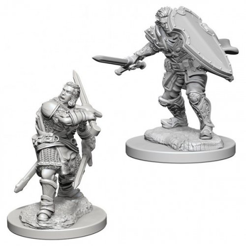 D&D Nolzur's Marvelous Unpainted Minis: Human Male Paladin