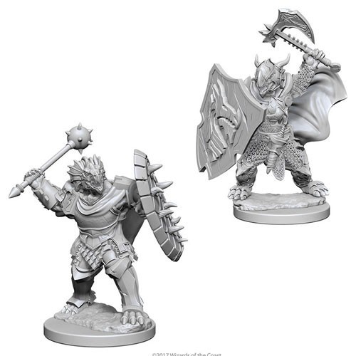 D&D Nolzur's Marvelous Unpainted Minis: Dragonborn Male Paladin