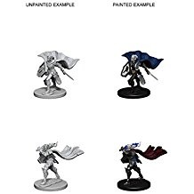 Pathfinder Deep Cuts Unpainted Miniatures: Elf Female Paladin (2)
