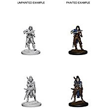 Pathfinder Deep Cuts Unpainted Miniatures: Elf Female Bard (2)
