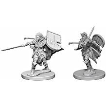 Pathfinder Deep Cuts Unpainted Miniatures: Human Female Paladin (2)