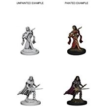 Pathfinder Deep Cuts Unpainted Miniatures: Human Female Bard (2)