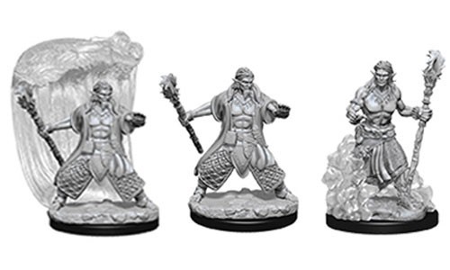 D&D Nolzur's Marvelous Unpainted Minis: Water Genasi M Druid