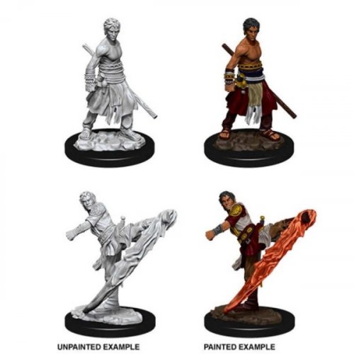 D&D Nolzur's Marvelous Unpainted Minis: Half-elf Male Monk