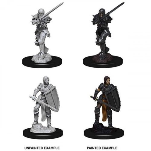 D&D Nolzur's Marvelous Unpainted Minis: Human Female Fighter