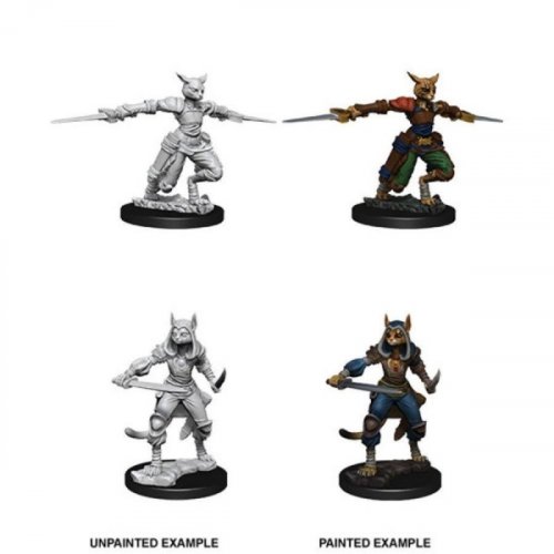 D&D Nolzur's Marvelous Unpainted Minis: Tabaxi Female Rogue