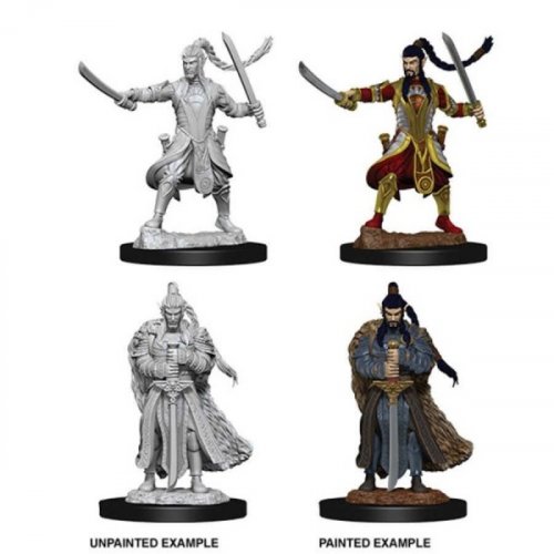 D&D Nolzur's Marvelous Unpainted Minis: Elf Male Paladin