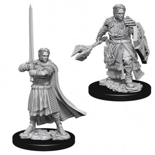 D&D Nolzur's Marvelous Unpainted Minis: Human Male Cleric