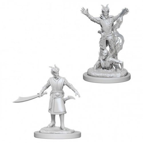 D&D Nolzur's Marvelous Unpainted Minis: Tiefling male Warlock