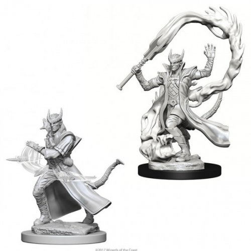 D&D Nolzur's Marvelous Unpainted Minis: Tiefling male Sorcerer