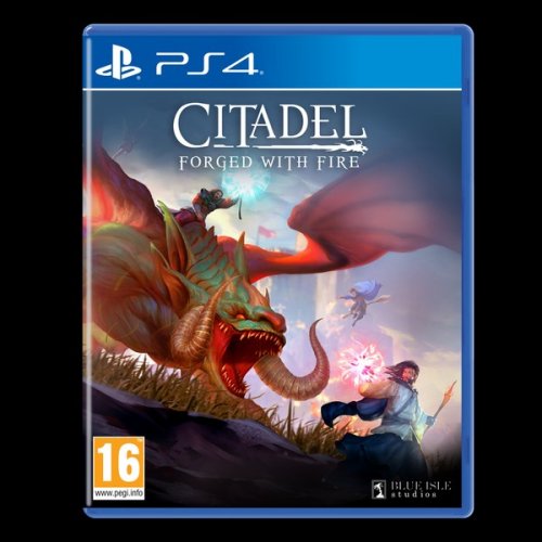 Citadel Forged With Fire