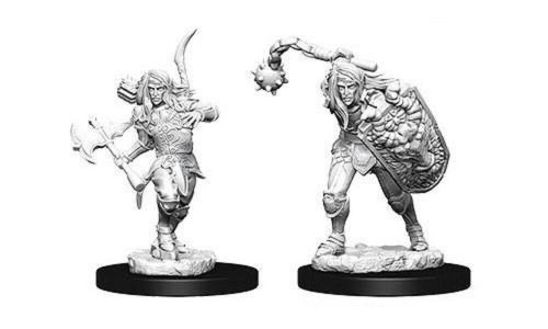 Pathfinder Deep Cuts Unpainted Miniatures: Elf Male Fighter 2 (2)