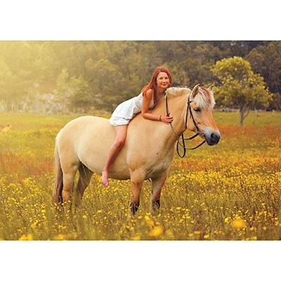 Palapeli: The Norwegian Fjord Horse (1000)