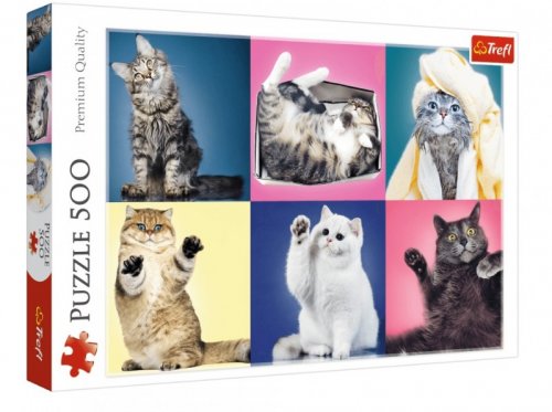 Palapeli: Kittens (500)
