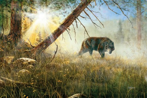 Palapeli: Watchful Eyes (550)