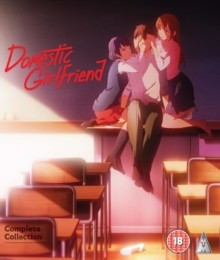 Domestic Girlfriend
