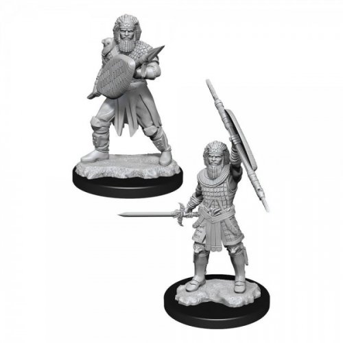 D&D Nolzur's Marvelous Miniatures: Human Fighter Male V.2