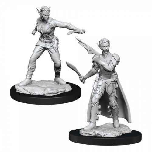 D&D Nolzur's Marvelous Miniatures: Shifter Rogue Female