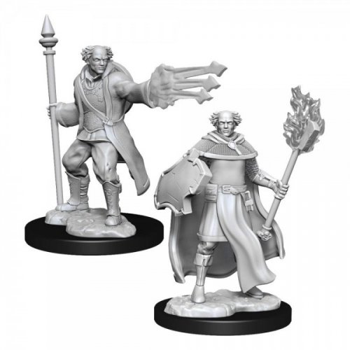 D&D Nolzur's Marvelous Miniatures: Multiclass Cleric & Wizard Male