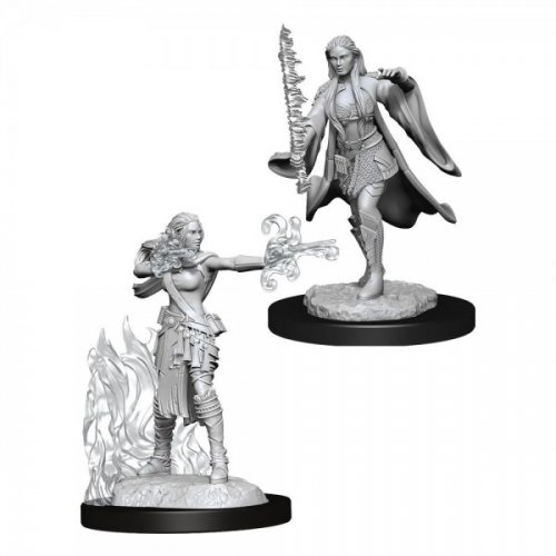 D&D Nolzur's Marvelous Miniatures: Multiclass Warlock & Sorcerer Female