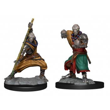 D&D Nolzur's Marvelous Miniatures: Warforged Monk (2)