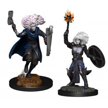D&D Nolzur's Marvelous Miniatures: Changeling Cleric Male (2)