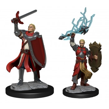 D&D Nolzur's Marvelous Miniatures: Half-Elf Paladin Male (2)