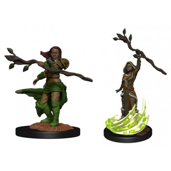 D&D Nolzur's Marvelous Miniatures: Human Druid Female (2)