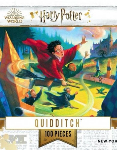 Palapeli: Harry Potter - Quidditch Mini (100)