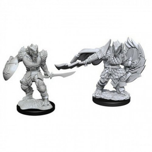 D&D Nolzur's Marvelous Miniatures: Dragonborn Fighter Male