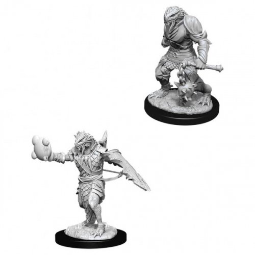 D&D Nolzur's Marvelous Miniatures: Male Dragonborn Paladin