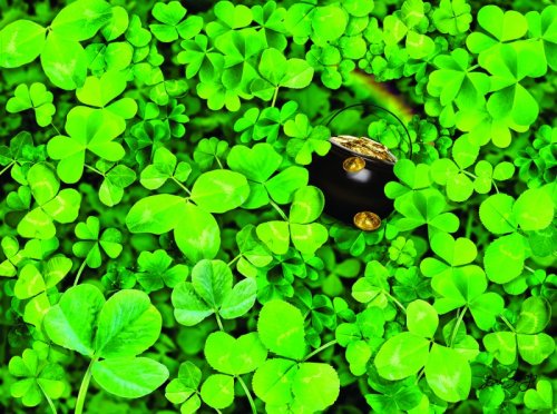 Palapeli: Shamrock Challenge (1000pcs)
