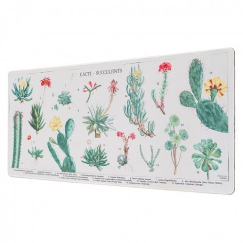 Hiirimatto: Botanical - Cacti Succulents (35x80cm)