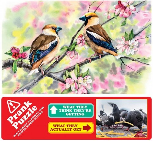 Palapeli: Lovely Birds in Nature - Prank Puzzle (300pcs)