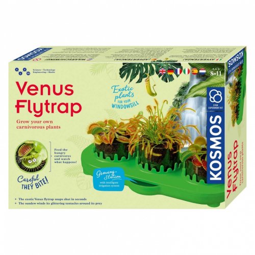 Venus Flytrap