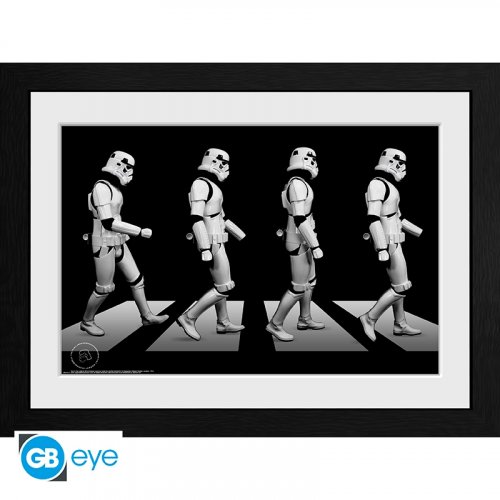 Taulu: Original Stormtrooper - Crossing (30x40cm)