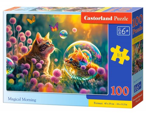 Palapeli: Magical Morning (100)