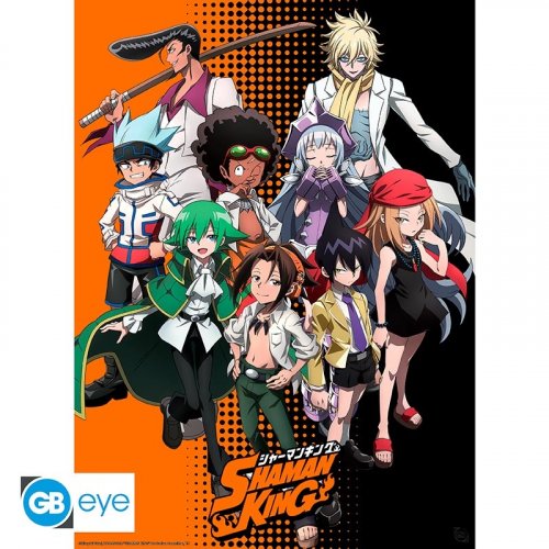 Juliste: Shaman King - Group (52x38cm)