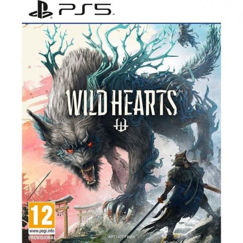 Wild Hearts (K�ytetty)