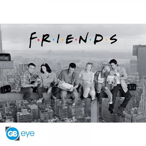 Juliste: Friends - Friends, BW (91.5x61cm)