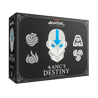 Avatar Last Airbender: Aangs Destiny