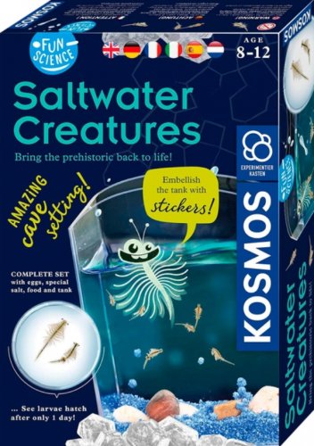 Fun Science: Saltwater Creatures