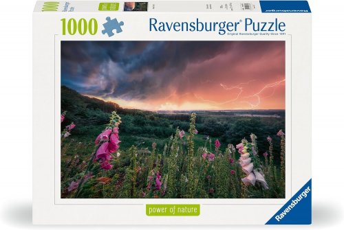 Palapeli: Dreamy Thunder (1000)